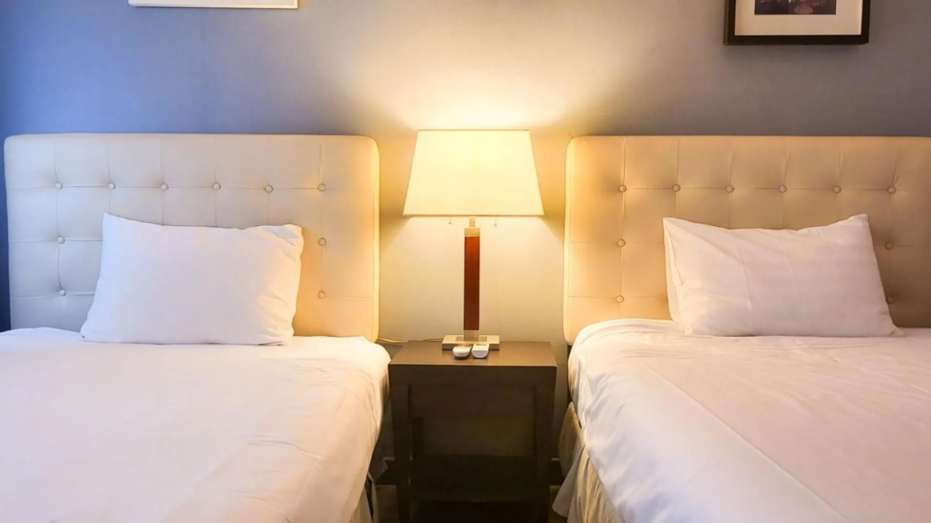 Jeju Eq Stay Hotel