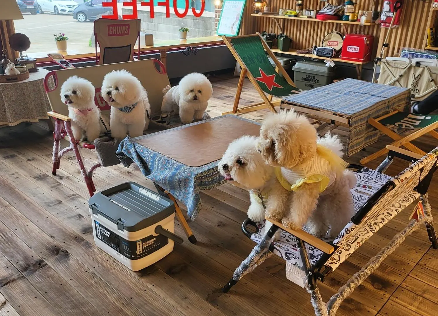 Jeju Eq Stay 0*,  South Korea