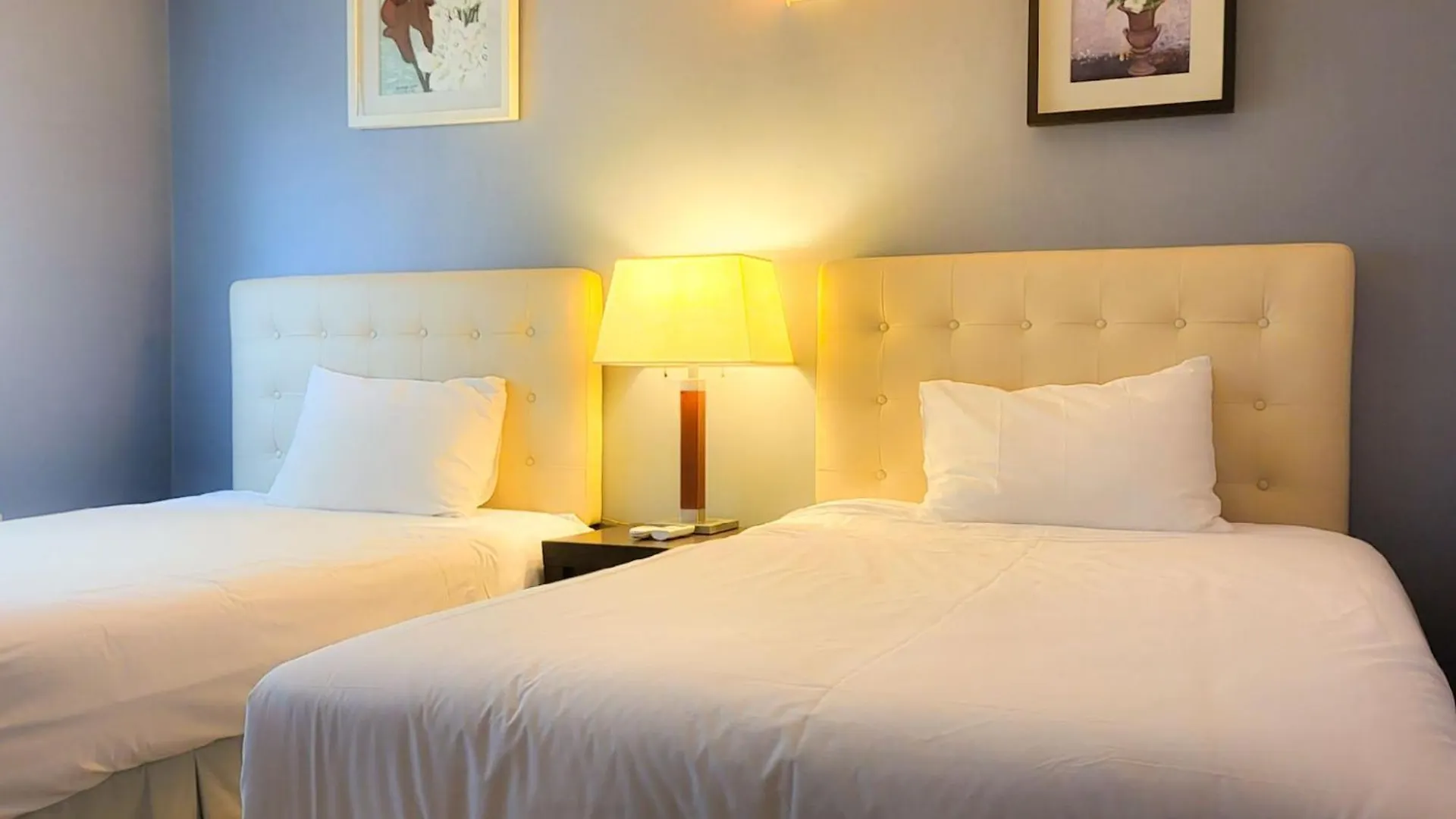 Hotel Jeju Eq Stay